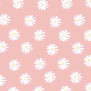 Meet your Posher, Lily